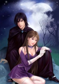 縱橫四海：王妃偷心攻略