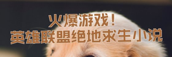 火爆遊戲！英雄聯盟絕地求生小說