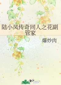 陆小凤传奇同人之花副管家